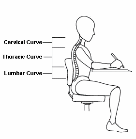 Spine Diagram